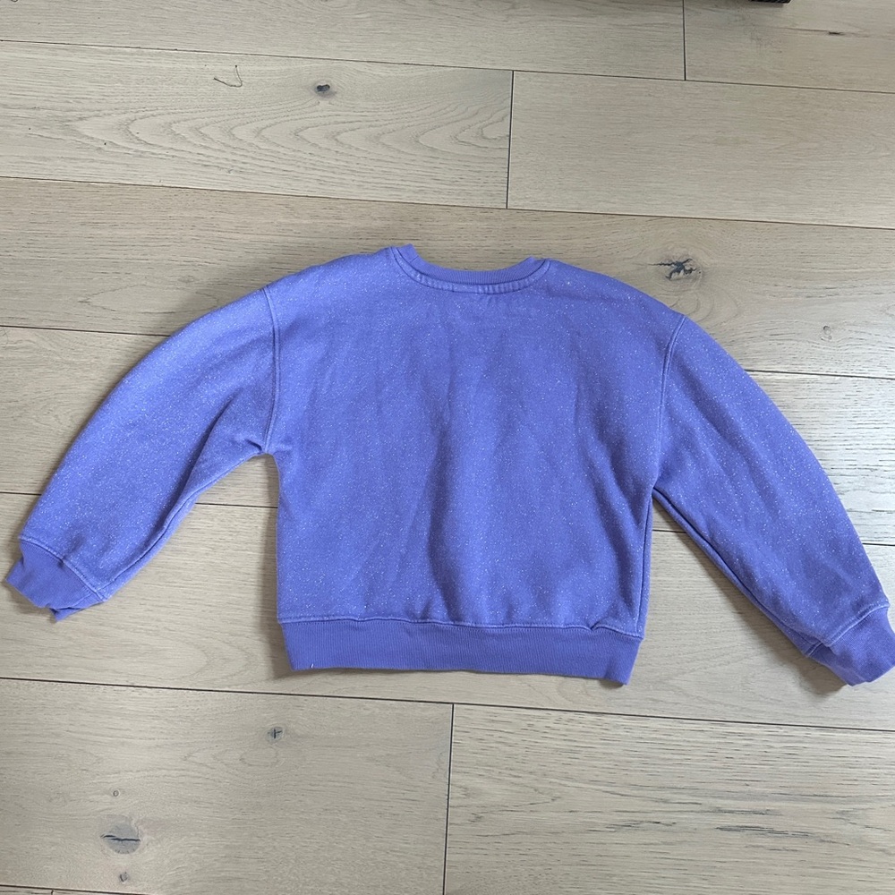 Disneyland 100 Anniversary Kids Sparkle Sweatshirt - Picture 4 of 6